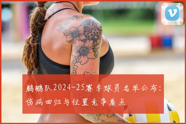 鹈鹕队2024-25赛季球员名单公布：伤病回归与位置竞争看点
