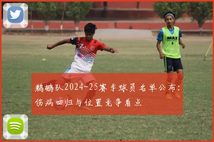 鹈鹕队2024-25赛季球员名单公布：伤病回归与位置竞争看点