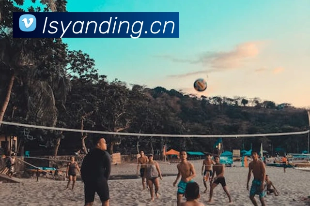 beat365在线登录入口网页版链接平台生态图